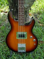 peaveyt45a.jpg
