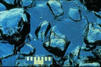 OilPoolFromValdezSpill.jpg