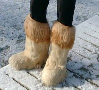 boot1.jpg