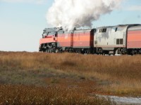Train4.JPG