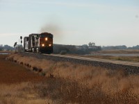 train5.JPG
