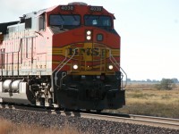 train6.JPG