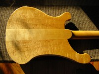 IMG_0551.jpg