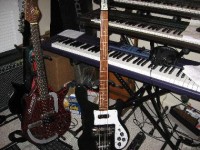sitar4003S.jpg