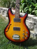 lakland.jpg