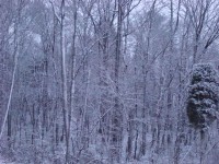 DSC02094.JPG