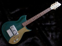 The Rickenbacker