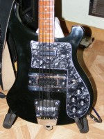 Pickguard_body_001.jpg