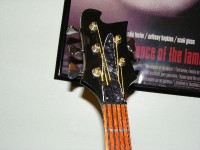 Pickguard_head_001.jpg