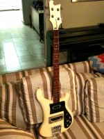 Fresh tailpiece &amp; neck pickup