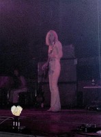 Aerosmith 8 (Medium).jpg