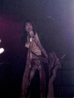 Aerosmith 9 (Medium).jpg