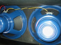 The Alnico Blue speakers wiring