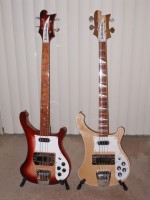 My Two Rics (450 x 600).jpg