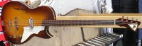 Suppose to be a 1966. Don't know the model.