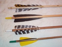 The feathers on an arrow are called the "Fletch"