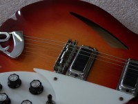 1981 330 FG Rickenbacker 009.JPG
