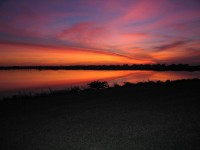 2010 02 Stuart Fla Yes 015.jpg