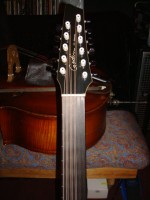 Godin 004.jpg