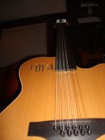 Godin 002.jpg