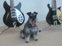 Penny's pink heart shaped Name tag; She is flanked by the JetGlo's with white wall background; Shade