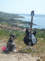 Penny and the WB, high above the magnificent Horsehoe bluffs of the Palos Verdes coast; looking East around 1:30 PM