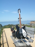 At the Point Vicente Interpretive Center trail, Palos Verdes ... a famous Whale watching site;  Looking North and the Malibu coastline is very far in the distance, maybe 35 miles across the channel of water.  Around 2-ish