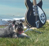 Close up of Penny cooling off on the edge of the bluff. Nice angle of the double binding. This is the same area as the Optical Illusion photo.