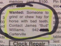 Worst Job Ever 1.jpg
