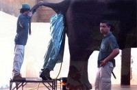 Worst Job Ever 4.jpg
