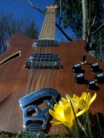 Two beautiful flowers on a spring morning