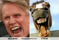 4gary-busey.jpg