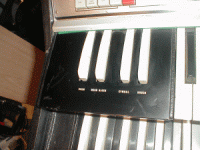 NomadDualPercKeys.gif