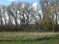 DSCN0203.JPG