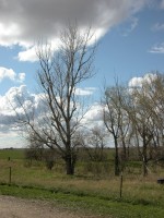 DSCN0204.JPG