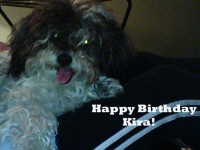 Happy Birthday Kira copy.jpg