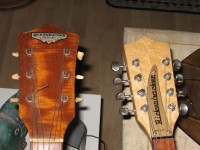 J Dog noticed the headstocks of my S59 and his 5002 were very similar!