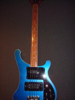 4003FL Strings 001.jpg