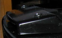 BackOnBody2.jpg
