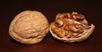 800px-Two_English_Walnuts.jpg