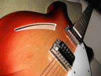 Ric_360-03.gif