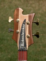 2008cii.JPG