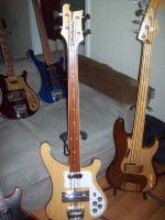 John's April '73 4001FL and '76 FL Fender "walnut" P-bass w/ maple board