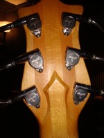 Ken Smith Headstock (Back) 002.jpg