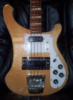 21 fret rh.JPG