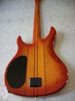 Peavey Dyna Unity