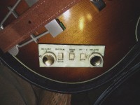 Hofner-controls-1.jpg