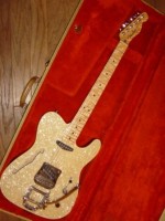 My Fender Birdsey Maple Neck MOTO Bigsby Telecaster.JPG