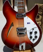 Ric 360c63 front detail.jpg