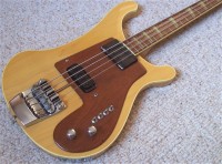 Rugly Bass.jpg